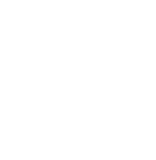 Vector 18